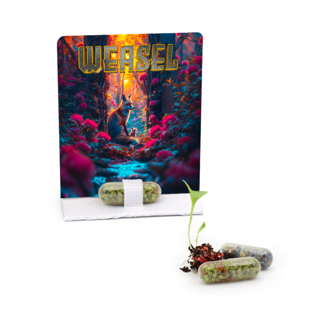 capsule fraise mignonette des bois