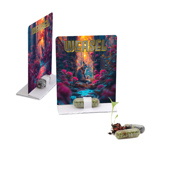 Capsule Menthe ou Mignonette des Bois